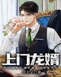 上门龙婿(主角:叶辰)
