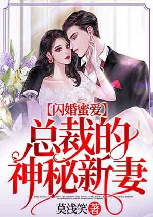 闪婚蜜爱:总裁的神秘新妻