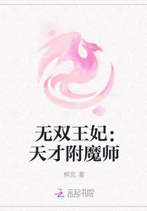 无双王妃:天才附魔师