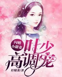 闪婚小甜妻:叶少高调宠