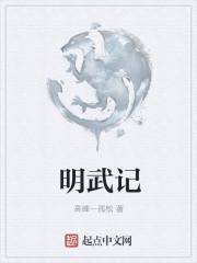 明武记