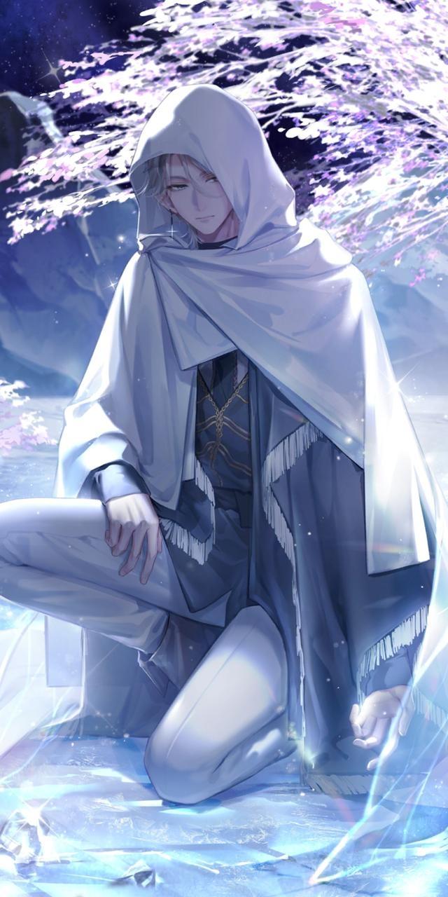 无双战婿