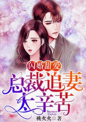 闪婚甜爱:总裁追妻太辛苦