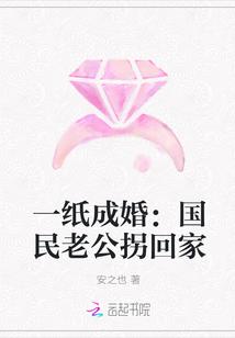 一纸成婚:国民老公拐回家