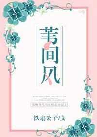 苇间风完结