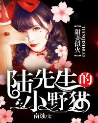 甜妻似火:陆先生的小野猫
