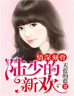 情深刻骨:陆少的新欢