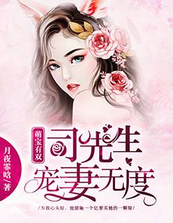 萌宝有双:司先生宠妻无度