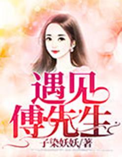 遇见,傅先生