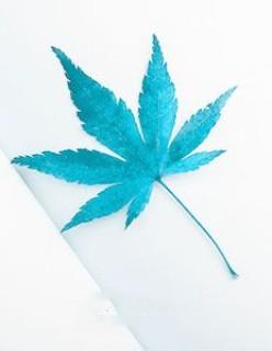 肥妻喜临门(续)