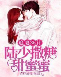 追妻36计:陆少撒糖甜蜜蜜