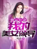 桃运仕途:我的美女领导