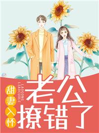 甜妻入怀:老公撩错了