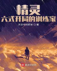 精灵:六式开局的训练家