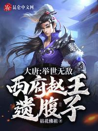 大唐:举世无敌,西府赵王遗腹子