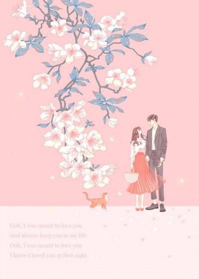一胎两宝:爹地,妈咪又怀了?宋暖唐时言
