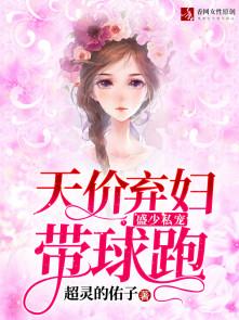 盛少私宠:天价弃妇带球跑