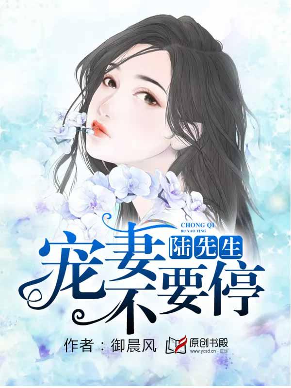 陆先生:宠妻百分百!