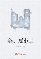 嗨,夏小二