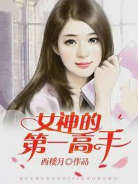 都市最佳女婿(女神的第一高手)