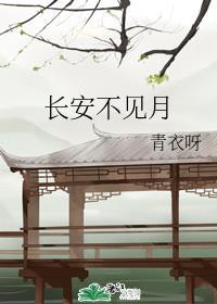 长安不见月80章