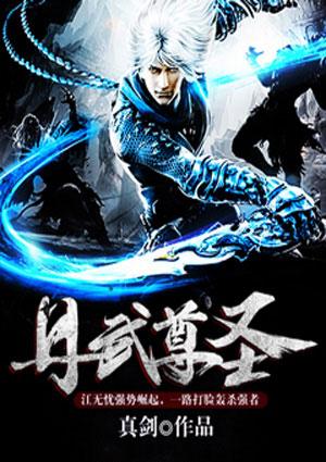 丹武尊圣txt全本