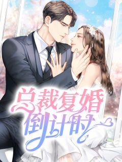 总栽复婚倒计时