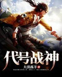 代号战车的是什么电视剧