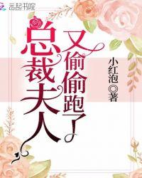总裁夫人又逃婚了