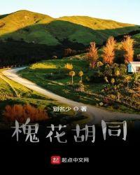 槐花胡同的详细地址