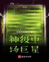 足球满级中场
