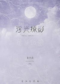 浮光掠影讲的什么