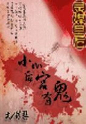 灵媒后续