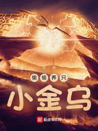 偷偷养只小金乌妖宠有啥