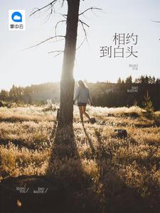 似佳人什么意思