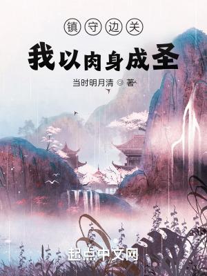 镇守边关我以肉身成圣 相关书籍