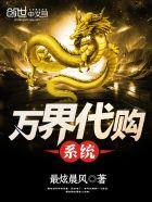 万界代购系统txt精校