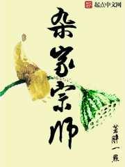 杂家宗师全本TXT
