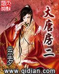 大唐房二最新笔趣阁