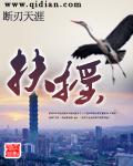扶摇科技有限公司