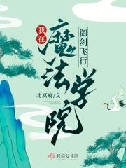 我在魔法学院御剑飞行TXT