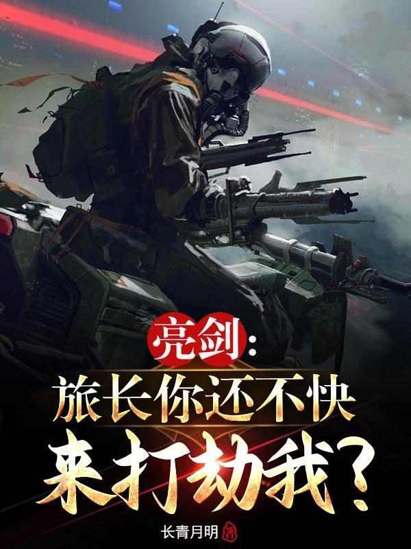 亮剑中旅长