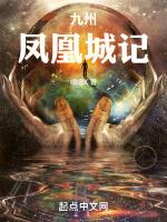 九州天空城之凤凰计