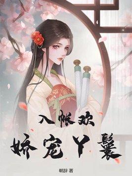 入帐欢娇宠丫鬟txt