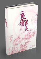 良婿美夫未删减TXT