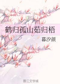 鹤归孤山 斯人已至是什么意思