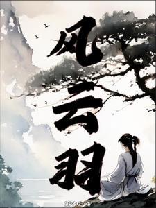 风云羽毛球是杂牌子还是名牌