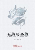 都市无敌圣尊