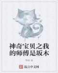 神奇宝贝之我的师傅是坂木 全部章节