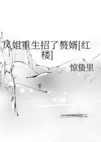 重生之红楼凤姐